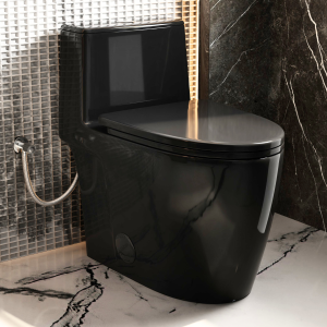 Los Flexi NU6 17.3″ Gloss Black Elongated One Piece Toilet With 10″ Rough-In