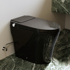 19" Black With Bidet